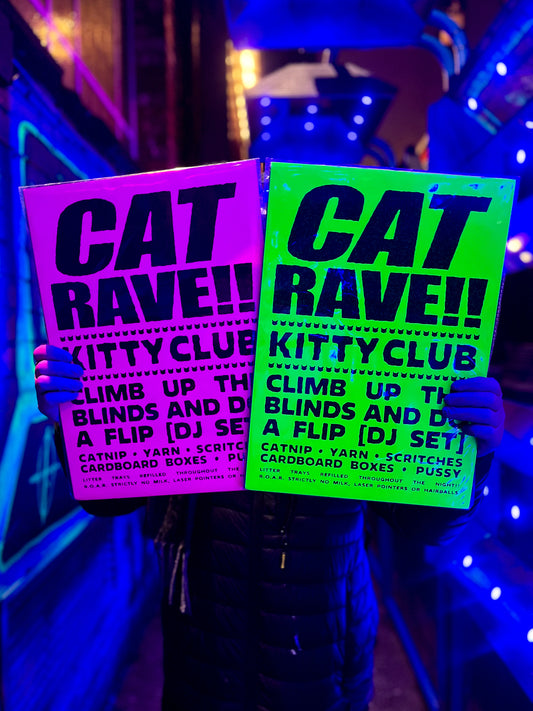 Cat Rave [dayglow pink edition] A3 rave poster print for cat lovers 😺
